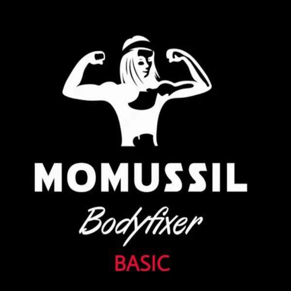 Bodyfixer BASIC